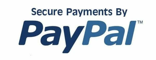 secure paypal logo
